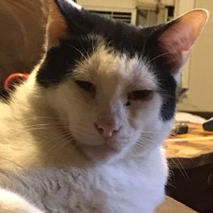 Meet your Posher, Mary